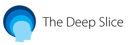 The Deep Slice